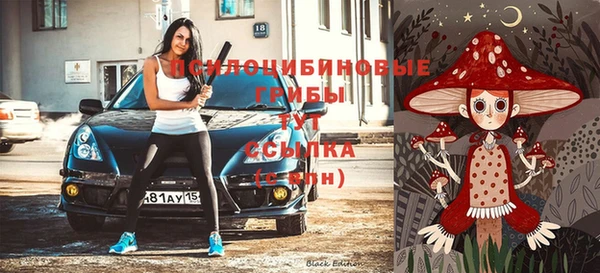 хмурый Алексин