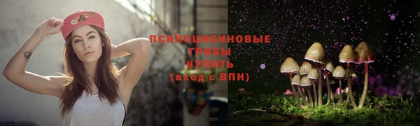 прущая мука Алексеевка