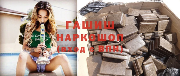 хмурый Алексин