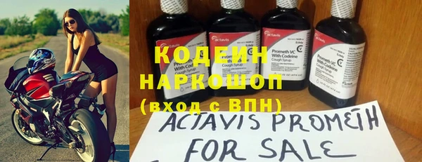 хмурый Алексин