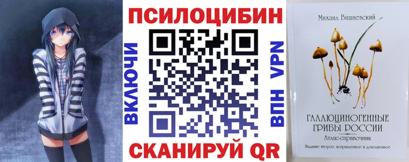 цена   Бакал  Галлюциногенные грибы Psilocybine cubensis 